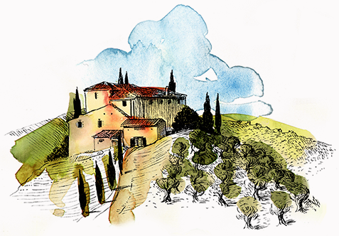 Olive Oil Extraction Process